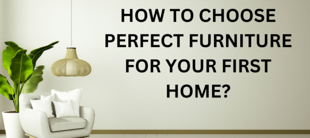 how to choose perfect furniture for your first home?